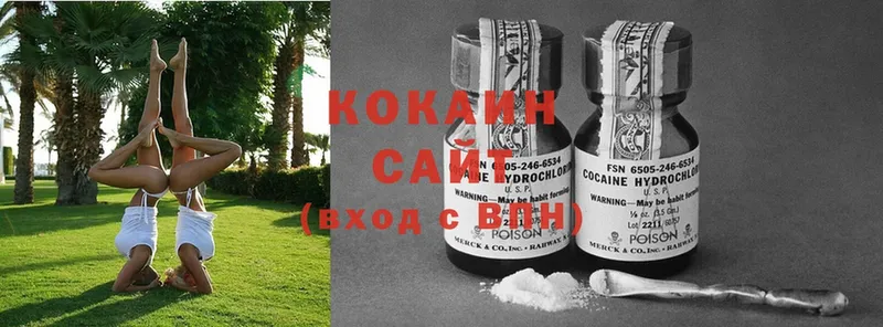 как найти закладки  Бикин  Cocaine 98% 